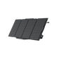 EcoFlow Package - DELTA Mini Portable Power Station (882Wh) and 1 x Portable Solar Panel (160W)