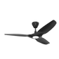 Big Ass Fans Haiku L 52" Outdoor Ceiling Fan in Black with 10" Downrod Accessory