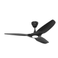 Big Ass Fans Haiku L 52" Outdoor Ceiling Fan in Black with 62.8" Downrod Accessory