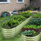 Olle Gardens 17" Tall, 12-in-1 Raised Garden Bed