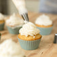 NutriMill 40 Piece Icing Kit