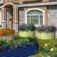 Olle Gardens 17" Tall Decorative Semi-circle Raised Garden Bed