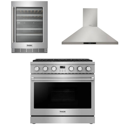 THOR Contemporary Package - 36" Gas Range, Range Hood and Wine Cooler, AP-ARG36-A22