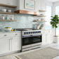 Gordon Ramsay by THOR Kitchen 48" 6.8 cu. ft. Professional Natural Gas Range in Stainless Steel/Blue, RSG48E-BLU