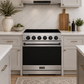 Gordon Ramsay by THOR Kitchen 30 Inch Professional Electric Range, 5 Element, Convection Oven in Stainless Steel with Black Accents, RSE30P-BLK