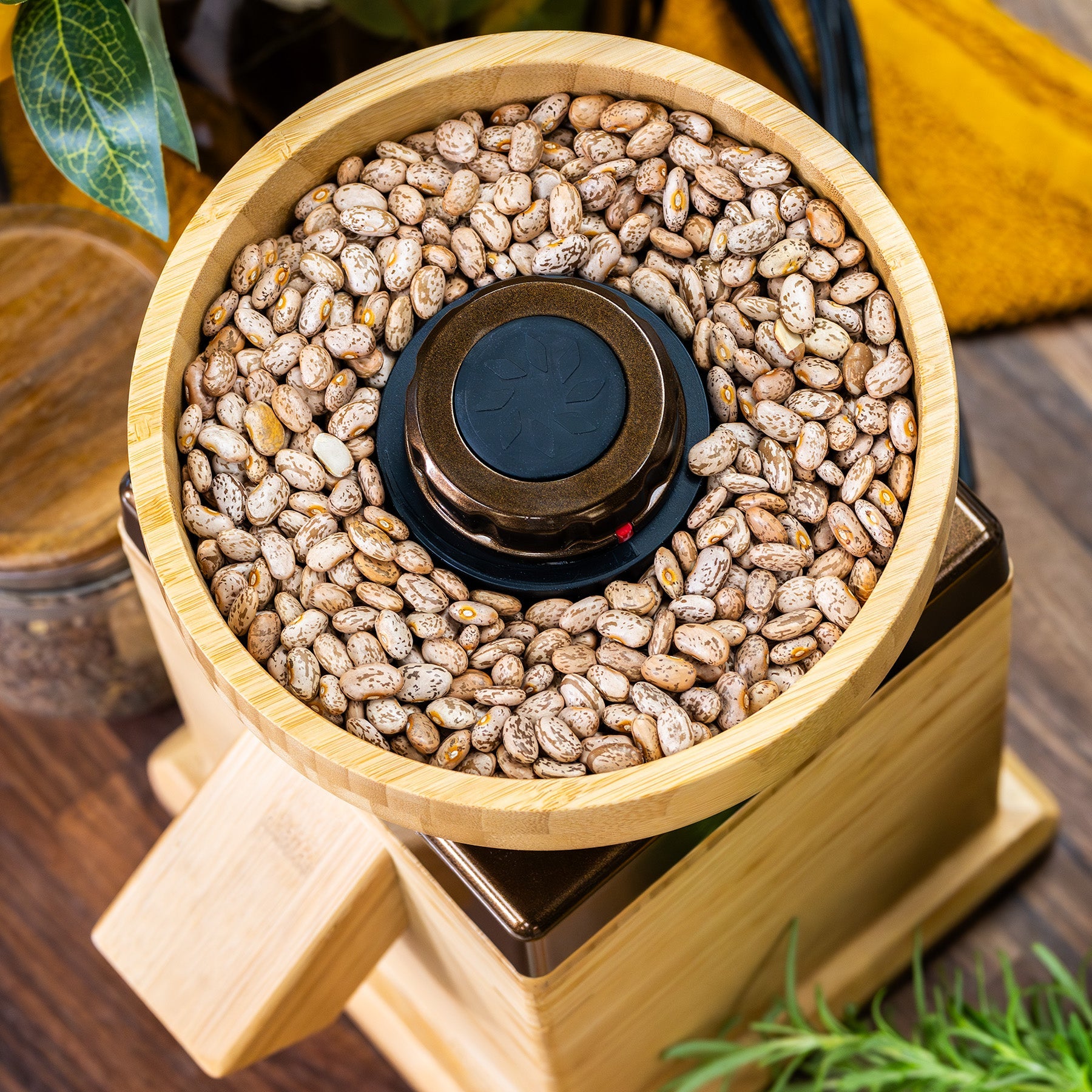 NutriMill Harvest Grain Mill - Bronze