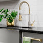 ZLINE Autograph Apollo Pull Down Spring Single Handle Kitchen Faucet in Brushed Nickel and Champagne Bronze, APL-KF-ZBNCB