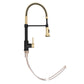 ZLINE Autograph Apollo Pull Down Spring Single Handle Kitchen Faucet in Matte Black and Champagne Bronze, APL-KF-ZMBCB