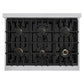 ZLINE 36" 5.2 cu. ft. Classic Gas Range with Convection Gas Oven in Stainless Steel with 6 Brass Burners, CGR-BR-36