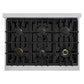 ZLINE Autograph Edition 36 in. Gas Rangetop in Stainless Steel and Gold Accents, RTZ-36-G