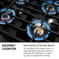 ZLINE 30" 4.2 cu. ft. Classic Dual Fuel Range with 4 Burner DuoPro™ Cooktop and Electric Convection Oven in Stainless Steel, PCDR30