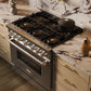 ZLINE 36" 5.2 cu. ft. Classic Dual Fuel Range with 6 Burner DuoPro™ Cooktop and Convection Oven in Stainless Steel, PCDR36