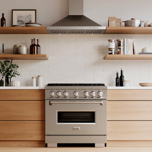 ZLINE 36" 5.2 cu. ft. Classic Dual Fuel Range with 6 Burner DuoPro™ Cooktop and Convection Oven in Stainless Steel, PCDR36