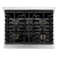 ZLINE Autograph 30" Paramount Gas Rangetop with 4 Burners and Porcelain Cooktop in DuraSnow® Stainless Steel with Polished Gold Accents, SRTSZ-30-G