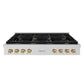 ZLINE Autograph 48" Paramount Gas Rangetop with 8 Burners, Cast Iron Griddle and Porcelain Cooktop in Stainless Steel with Polished Gold Accents, SRTZ-48-G