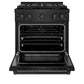 ZLINE 30" 4.2 cu. ft. Paramount Dual Fuel Range with 4 Burner DuoPro™ Cooktop and Electric Convection Oven in Black Stainless Steel, PSDRB-30