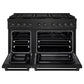 ZLINE 48" 6.7 cu. ft. Paramount Dual Fuel Range with 8 Burner DuoPro™ Cooktop and Dual Ovens in Black Stainless Steel, PSDRB-48
