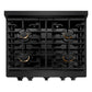 ZLINE Paramount 30" 4.2 cu. ft. Gas Range with Convection Oven and 4 Brass Burners in Black Stainless Steel, SGRB-BR-30