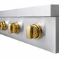ZLINE Autograph Edition 30" Paramount Induction Rangetop with 4 Element Cooktop in Stainless Steel and Polished Gold Accents, SINRTZ-30-G