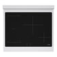 ZLINE Autograph Edition 30" Paramount Induction Rangetop with 4 Element Cooktop in Stainless Steel and Matte Black Accents, SINRTZ-30-MB