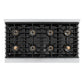 ZLINE 48" 6.7 cu. ft. Paramount Dual Fuel Range with 8 Burner DuoPro™ Cooktop and Dual Ovens in Stainless Steel, PSDR48