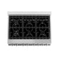 ZLINE 36" 4.6 cu. Ft. Gas Burner, Electric Oven with Griddle in Stainless Steel, RA-GR-36