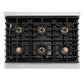 ZLINE 36" Paramount Gas Rangetop with 6 Burner DuoPro™ Cooktop in Stainless Steel, PSRT36