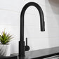 ZLINE Rubicon Pull Down Single Handle Kitchen Faucet in Matte Black, RBCN1-KF-MB