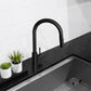 ZLINE Rubicon Pull Down Single Handle Kitchen Faucet in Matte Black, RBCN1-KF-MB