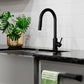 ZLINE Rubicon Pull Down Single Handle Kitchen Faucet in Matte Black, RBCN1-KF-MB