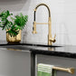 ZLINE Rubicon Pull Down Spring Spray Wand Kitchen Faucet in Champagne Bronze, RBCN2-KF-CB