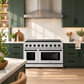 ZLINE Autograph Edition 48" Paramount Induction Range with 7 Element Cooktop in Stainless Steel with Matte Black Accents, SINRZ-48-MB