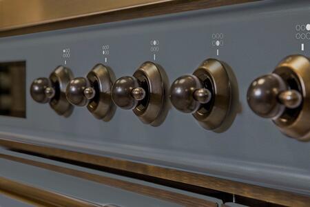 ILVE Majestic II 48" Natural Gas Burner, Electric Oven Range in Blue Grey with Bronze Trim, UM12FDNS3BGBNG
