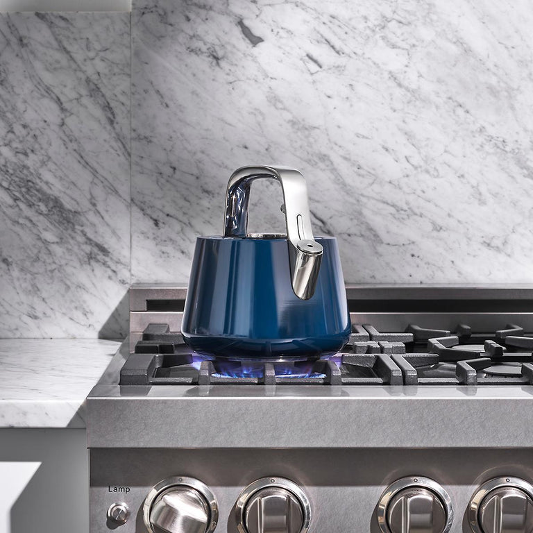Caraway Whistling Tea Kettle in Navy