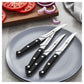 ZWILLING Pro 4pc Steak Knife Set