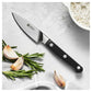 ZWILLING 3" Paring Knife, Pro Series