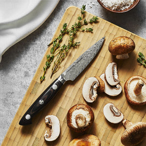 ZWILLING 3.5" Paring Knife, Kramer - EUROLINE Stainless Damascus Collection Series