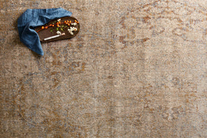 Loloi Rugs Anastasia Collection Rug in Desert - 9'6" x 9'6"