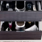 Bliss 48 in. Wall Mount Modern Bathroom Vanity - Gray Oak