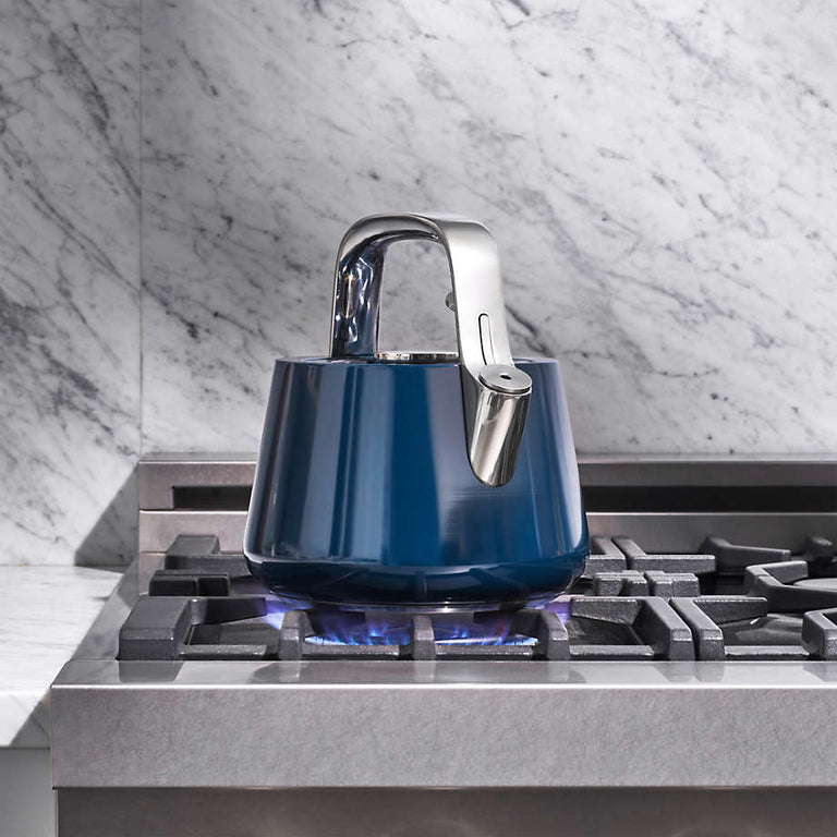 Caraway Whistling Tea Kettle in Navy