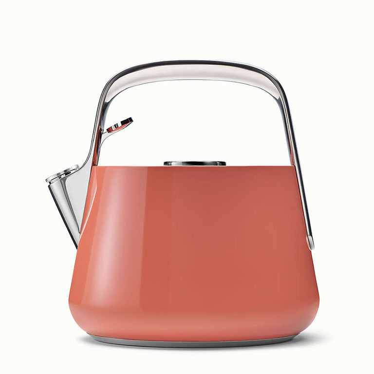 Caraway Whistling Tea Kettle in Perracotta