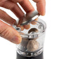 Peugeot Daman Nutmeg Mill in Acrylic/Stainless 15 cm - 6in
