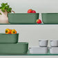 Caraway Food Storage Set in Sage
