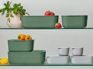 Caraway Food Storage Set in Sage