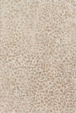 Loloi Rugs Juneau Collection Rug in Ash, Taupe - 5' x 7'6"