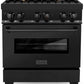 ZLINE 30 in. Professional Gas Burner/Electric Oven in Black Stainless Steel with Brass Burners, RAB-BR-30