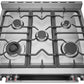 Robam 30 Inch Freestanding Gas Range with 5 Sealed Burners, 5.0 cu. ft. Oven in Stainless Steel, ROBAM-G517K