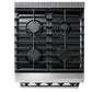 THOR Kitchen 24 in. Professional Gas Range in Stainless Steel, LRG2401U