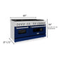 ZLINE 60 In. Professional Dual Fuel Range in Stainless Steel with Blue Gloss Door, RA-BG-60