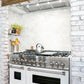 ZLINE 48 in. Professional Gas Burner/Electric Oven Stainless Steel 6.0 cu.ft. 7 Range - White Matte Door, RA-WM-48